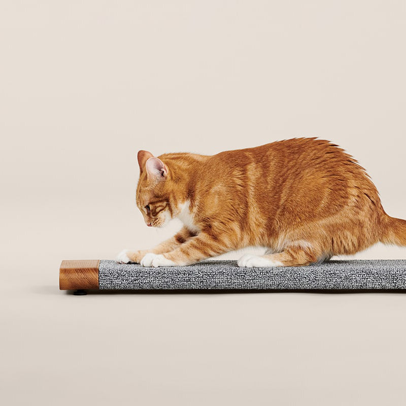 Tab Scratching Board product image
