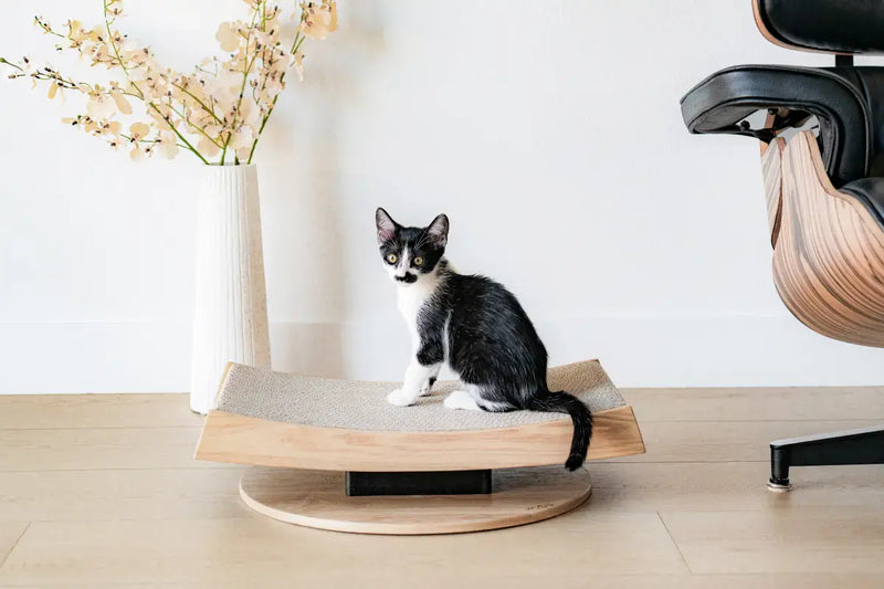 Torii product image