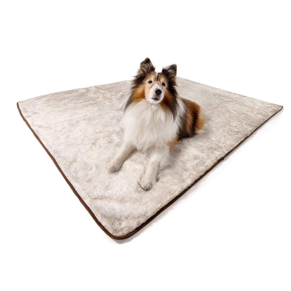 PupProtector™ Summer Short Fur Waterproof Throw Blanket - White with Brown Accents image 3