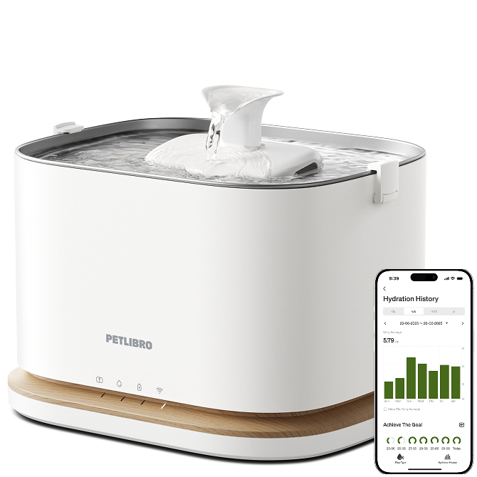 Dockstream 2 Smart Fountain product image