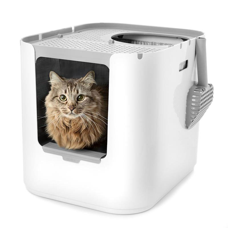 Modkat XL product image