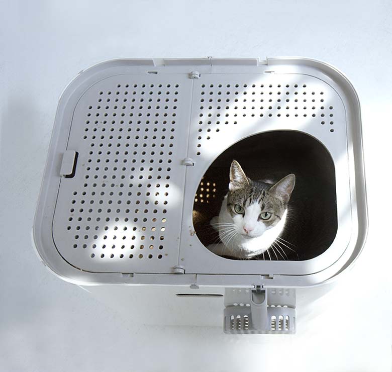 Modkat XL image 4