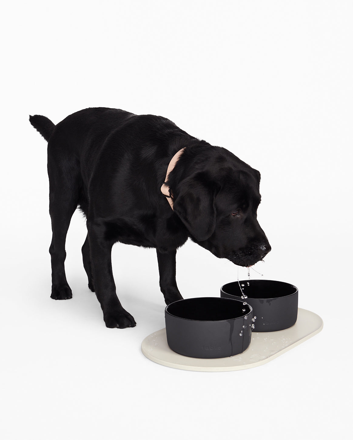 Signature Bowl Mat image 4