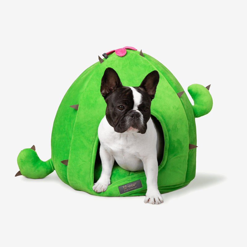 Cactus Dog & Cat Fun Bed Prive Collection product image