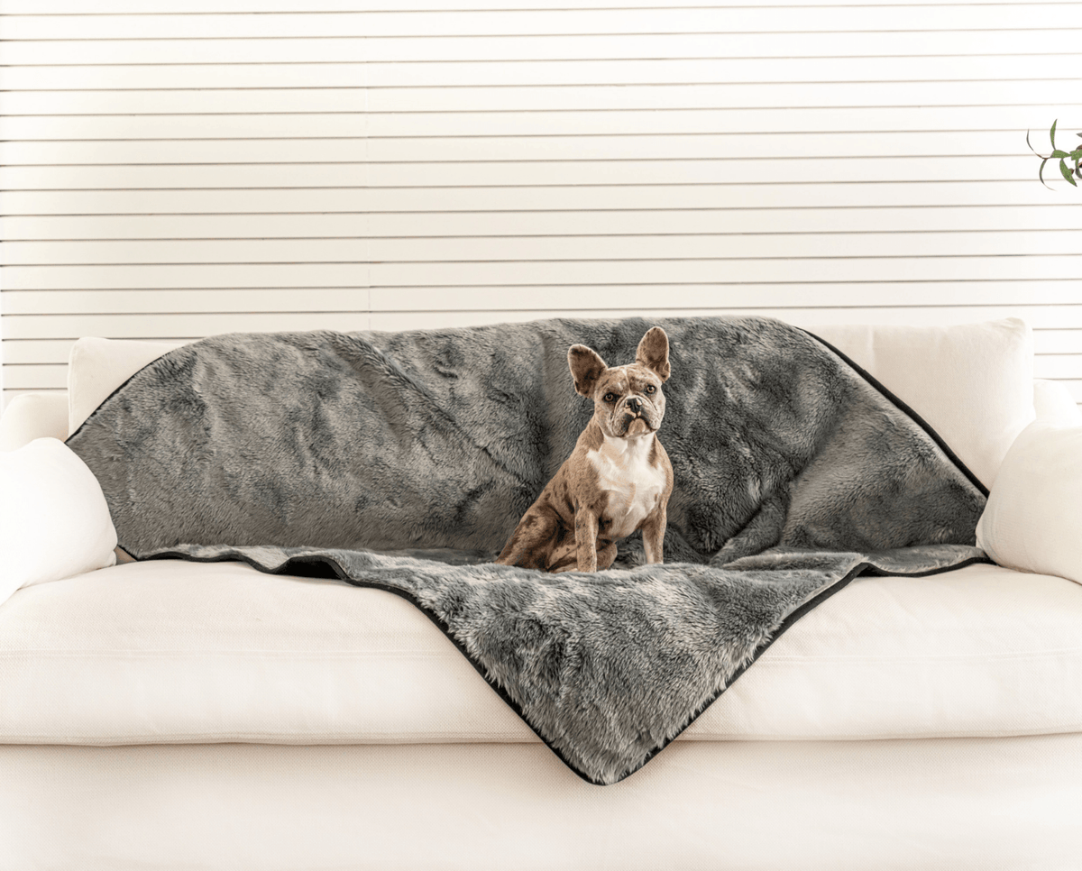PupProtector™ Summer Short Fur Waterproof Throw Blanket - Charcoal Grey image 2