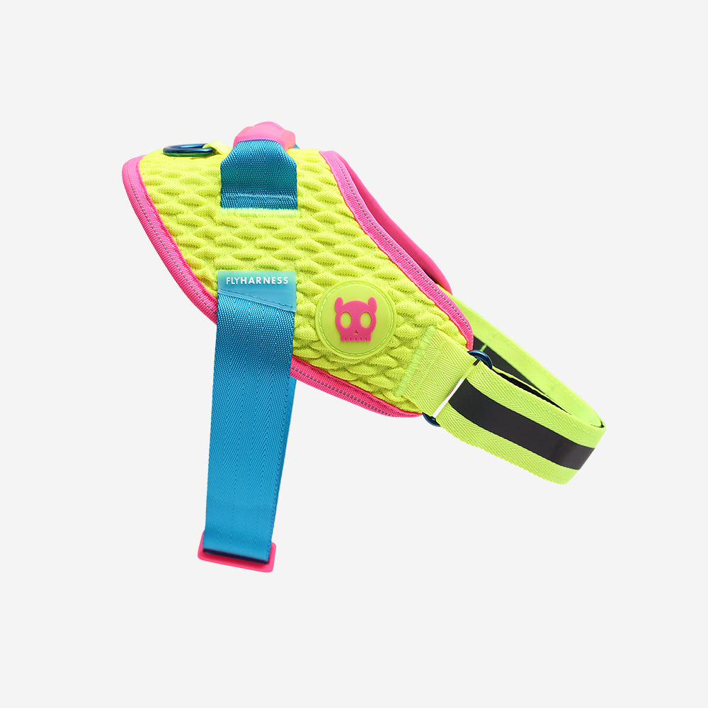 CMYK | FlyHarness product image