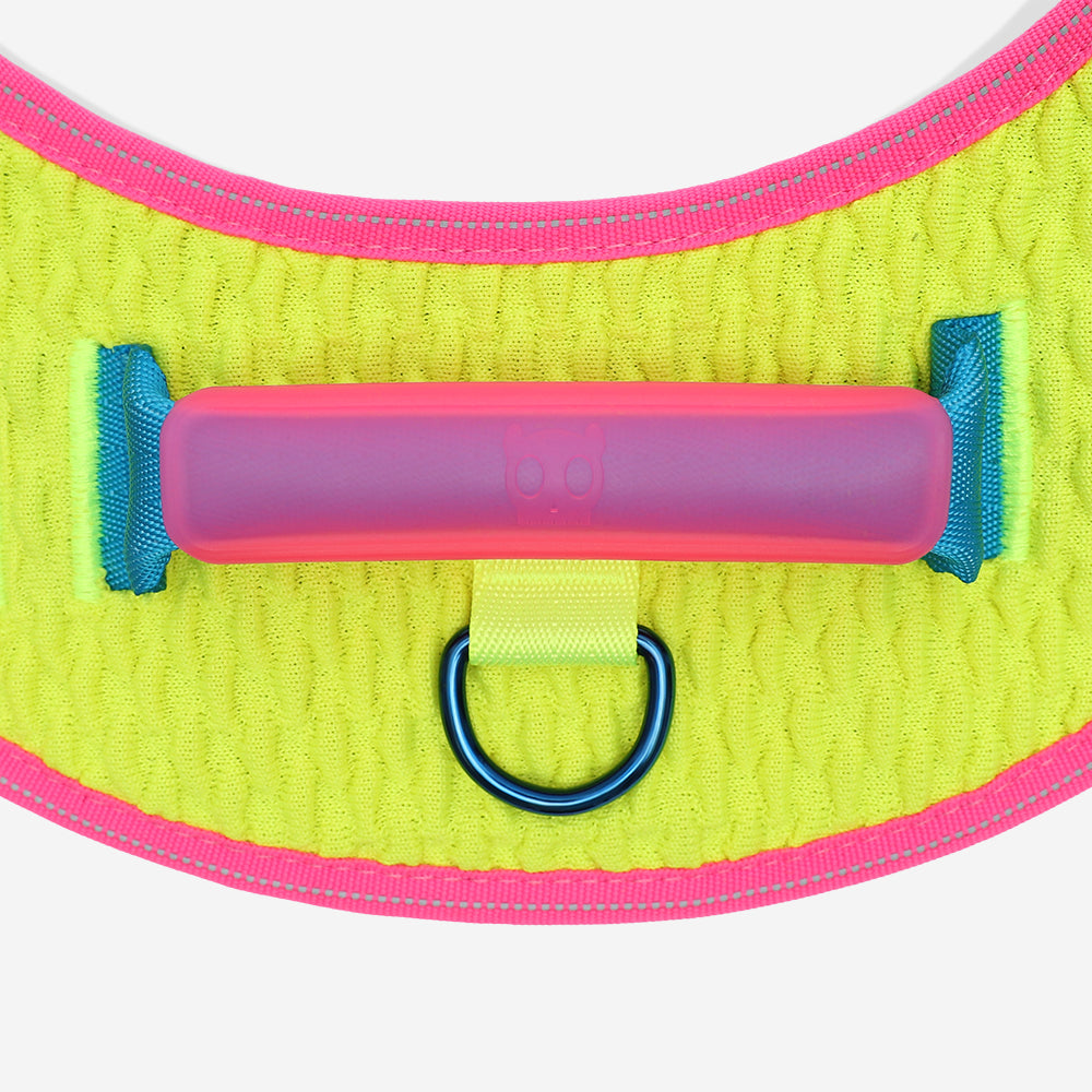 CMYK | FlyHarness image 4