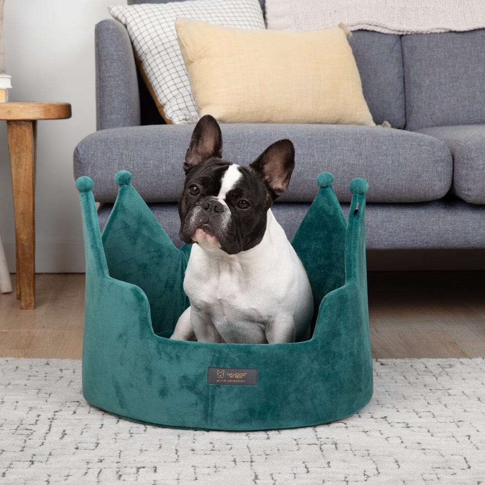 Crown Dog & Cat Fun Bed Cloud Prive Collection - Royal Green image 3