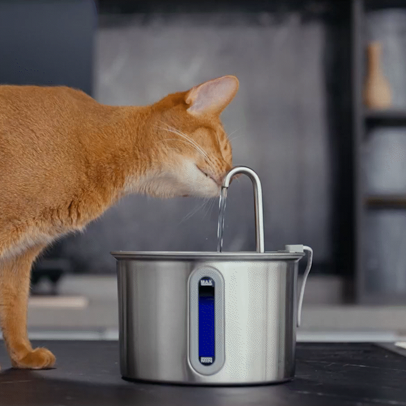 Oneisall 2L Cat Water Fountain with 3PCS Filters image 2