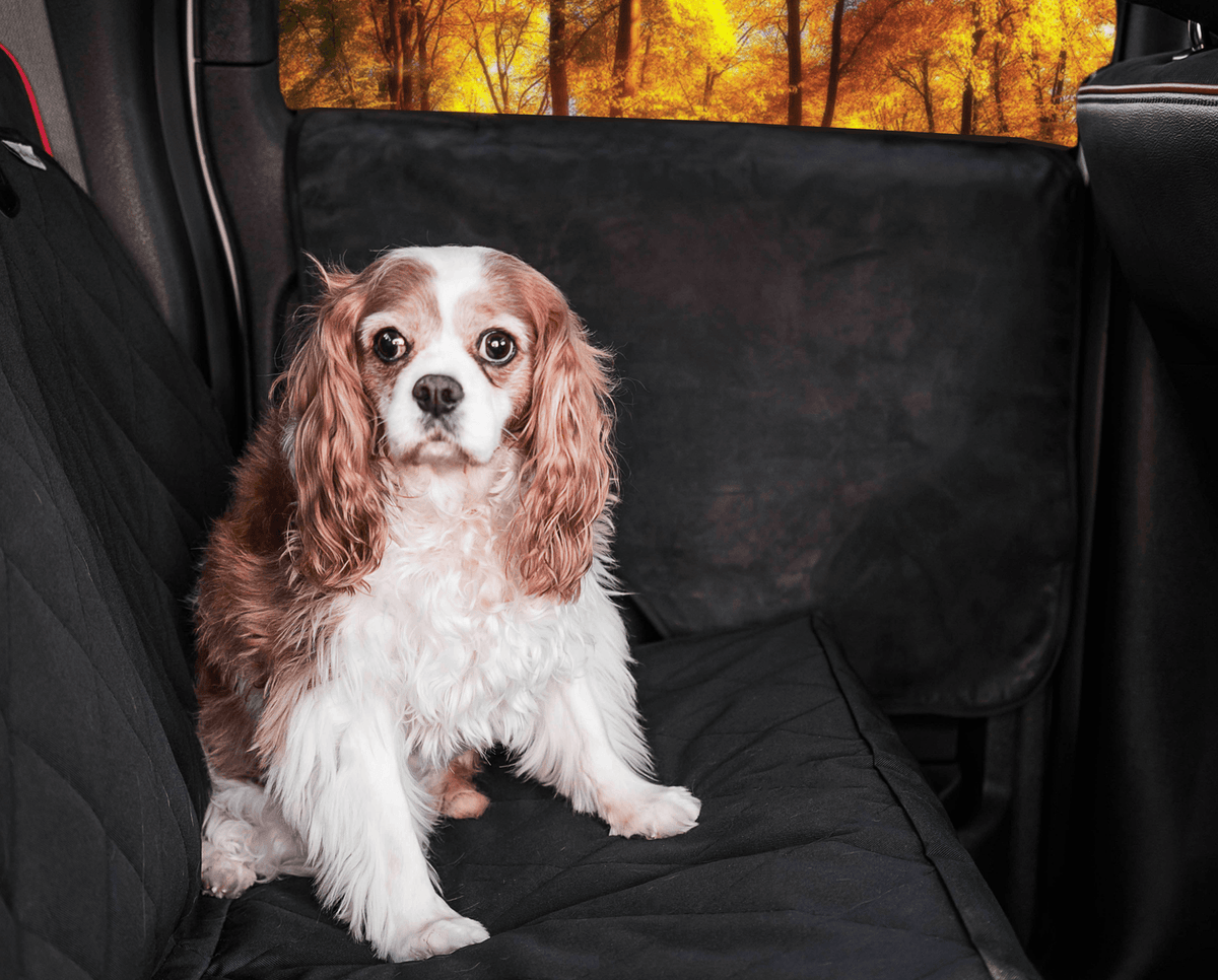 PupProtector™ Car Door Guard (2 pack) product image