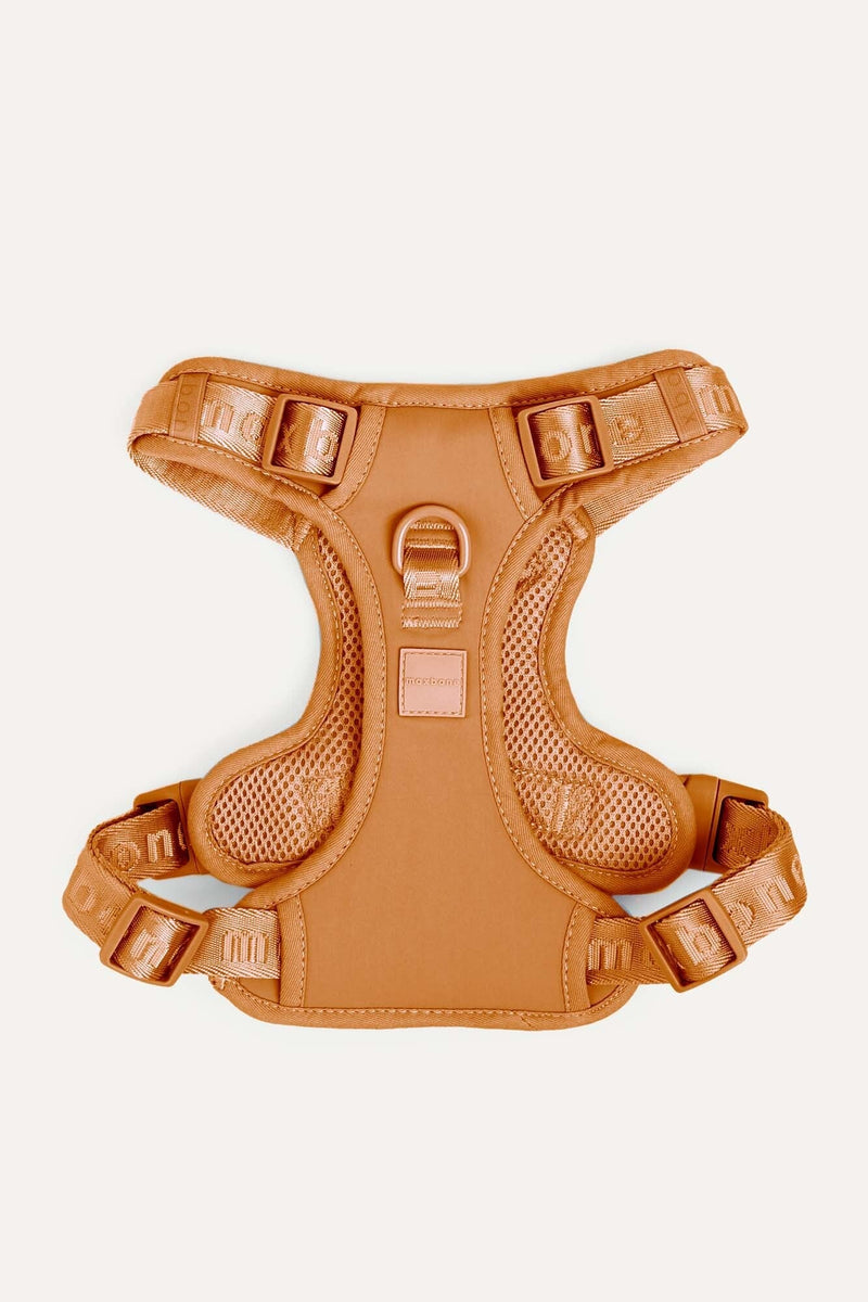 Easy Fit Harness product image