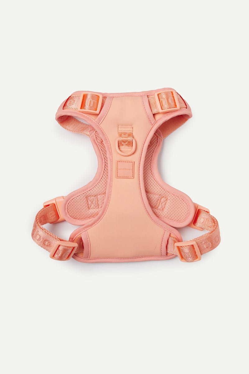 Easy Fit Harness image 4