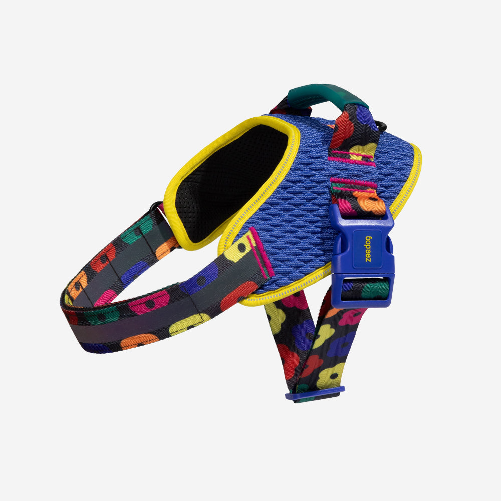 Samba | FlyHarness image 2