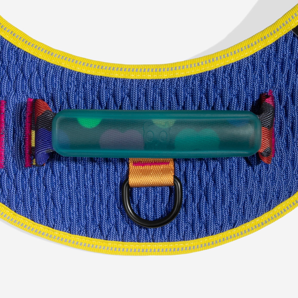 Samba | FlyHarness image 3