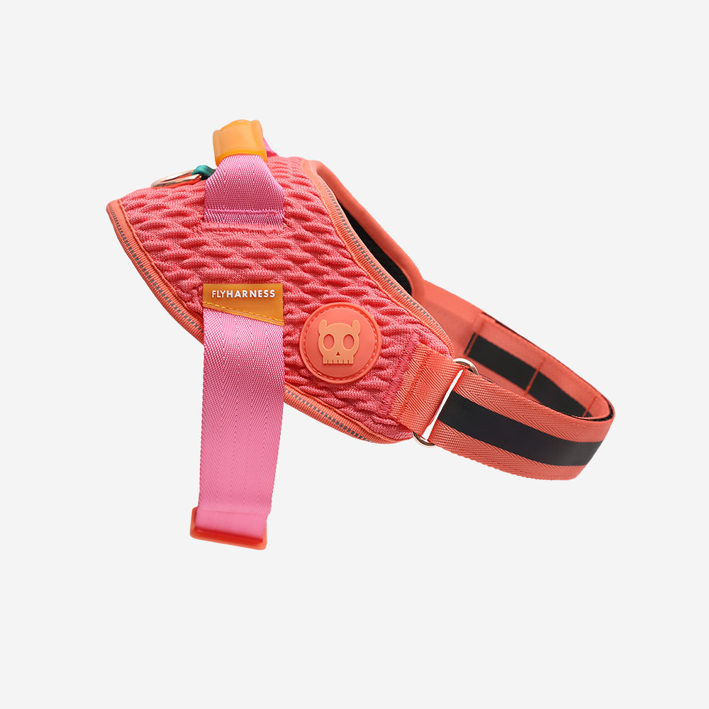 Gazelle | FlyHarness product image