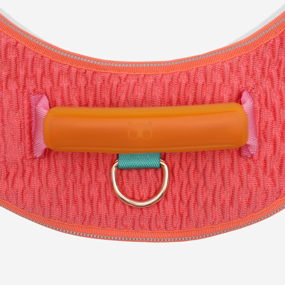 Gazelle | FlyHarness image 4
