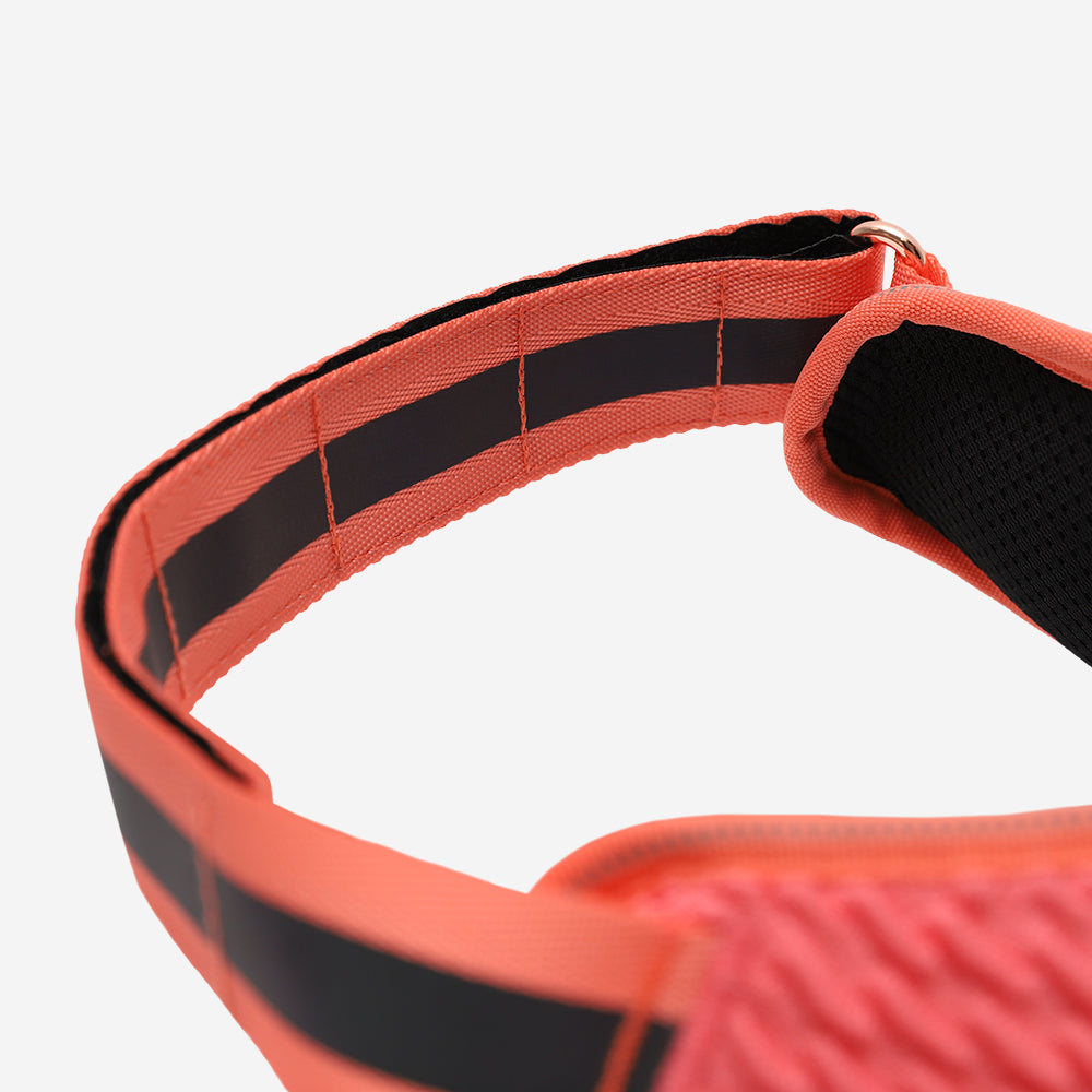 Gazelle | FlyHarness image 5
