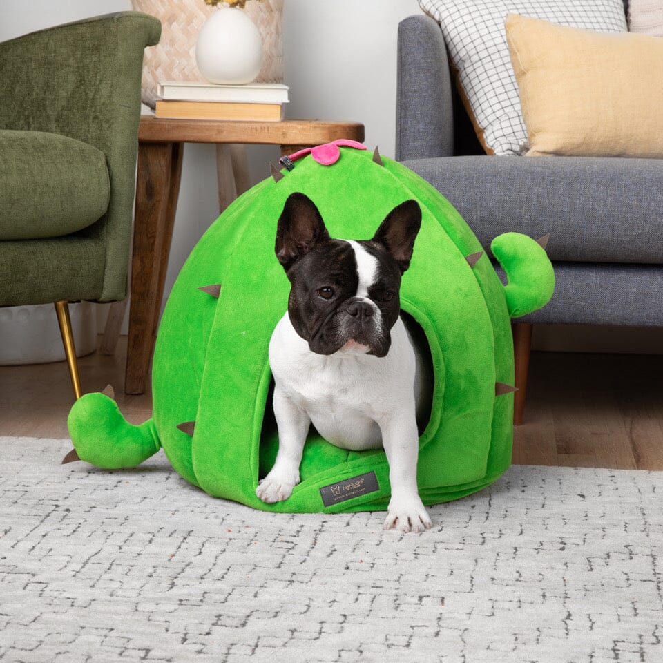 Cactus Dog & Cat Fun Bed Prive Collection image 3