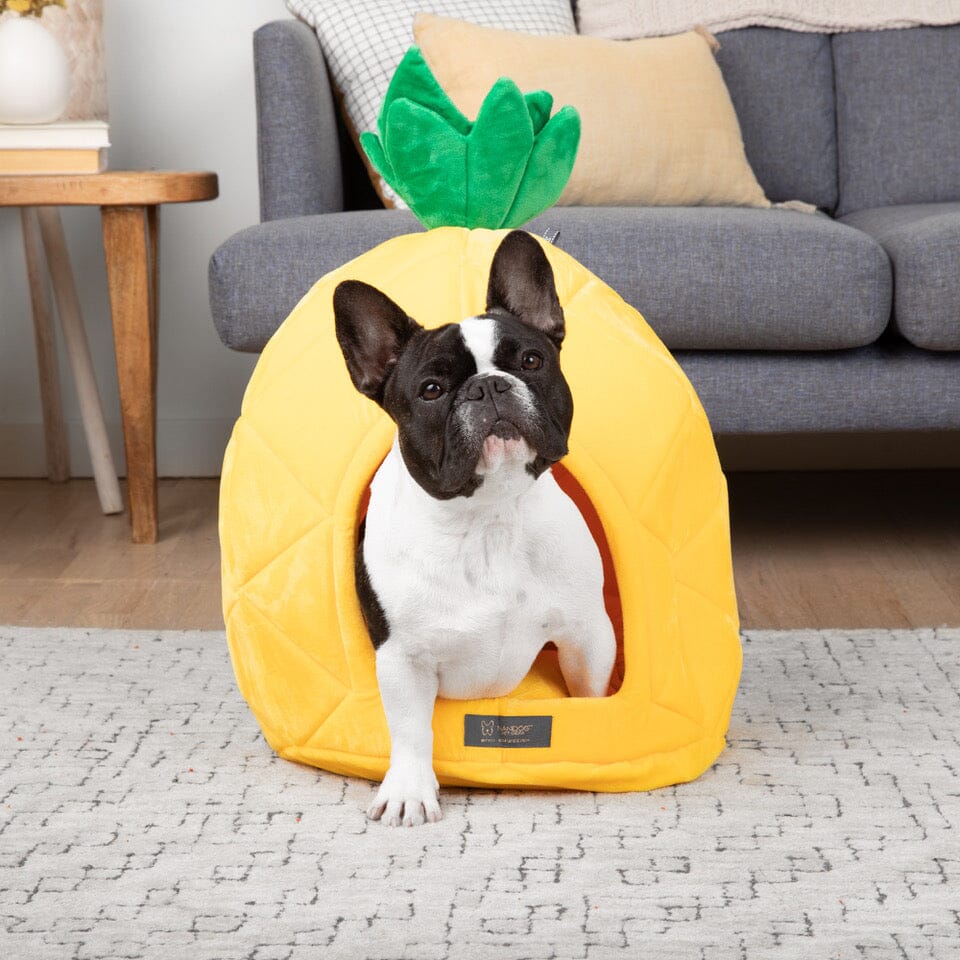 Pineapple Dog & Cat Fun Bed Prive Collection image 3