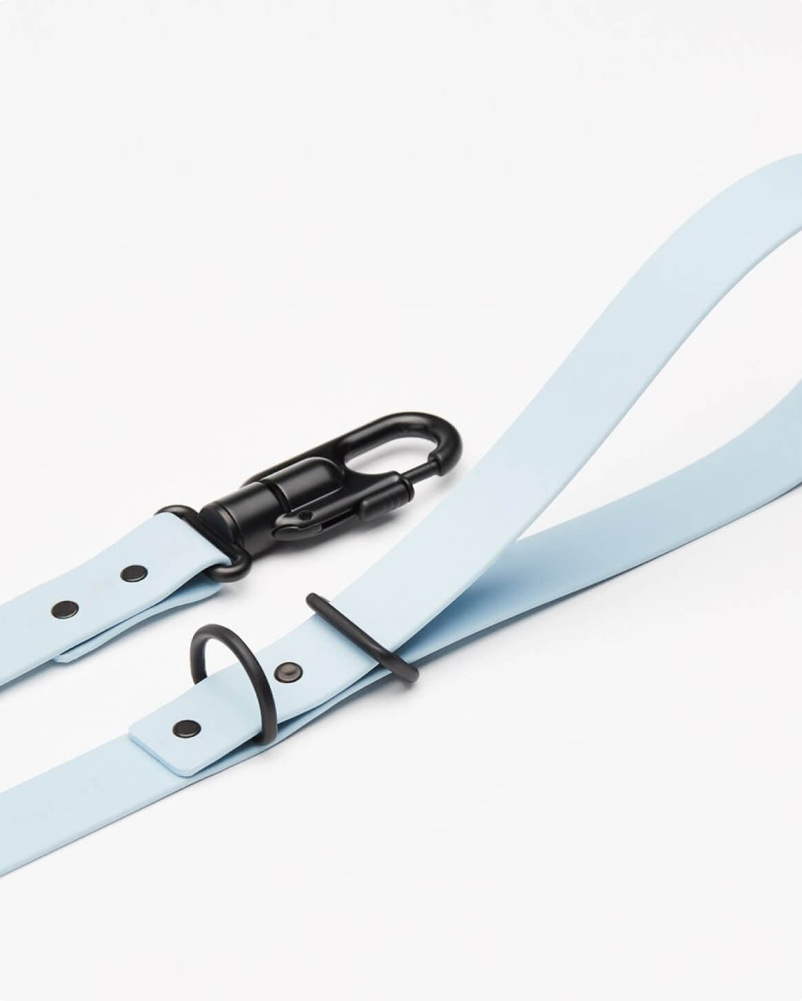 Signature Leash image 3
