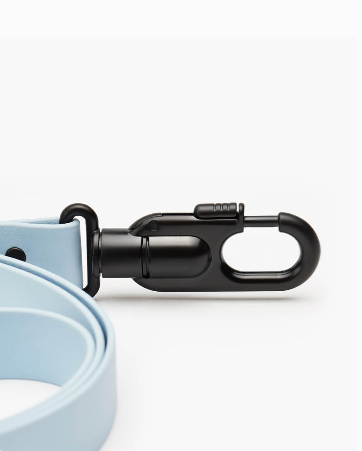 Signature Leash image 4