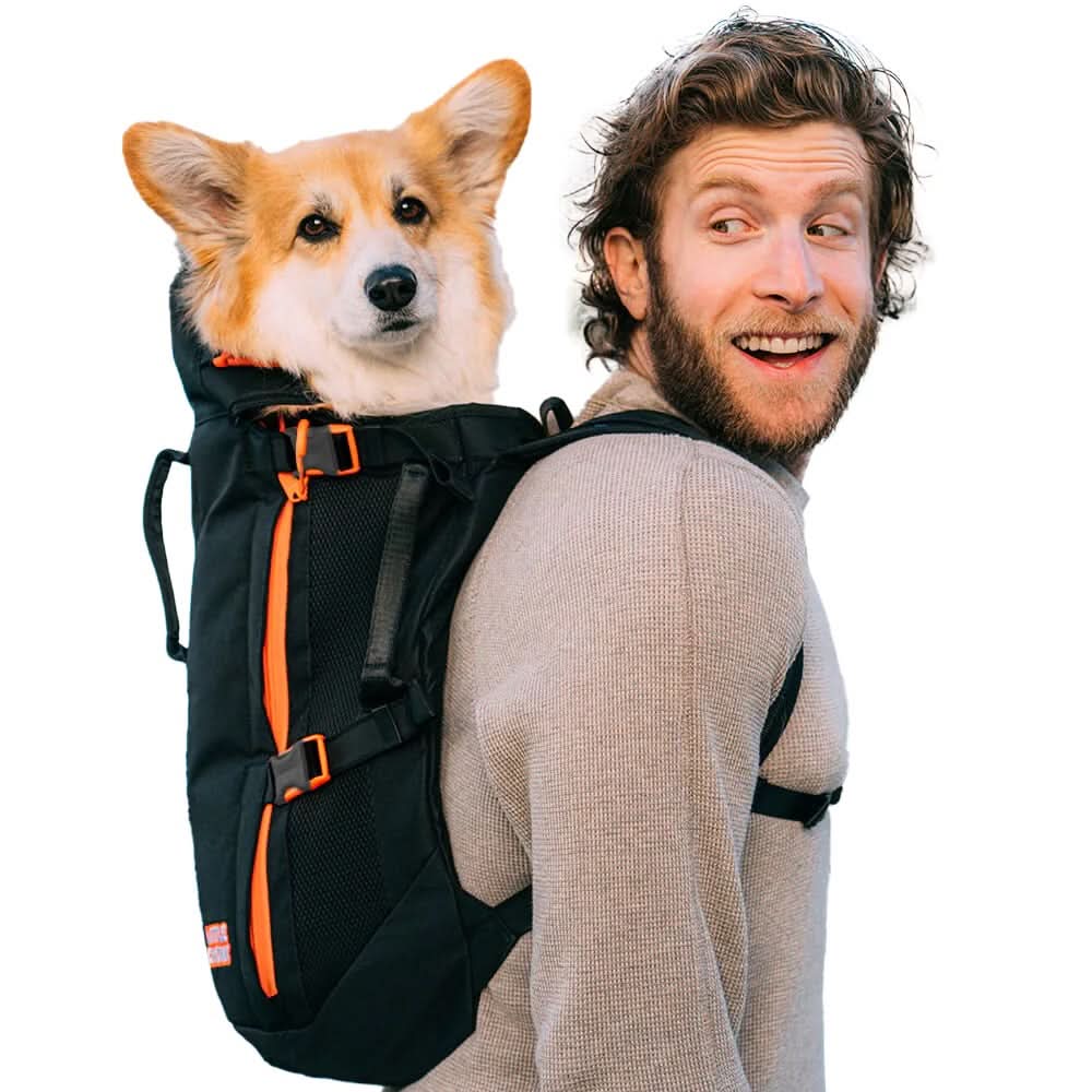 MAXINE ONE product image
