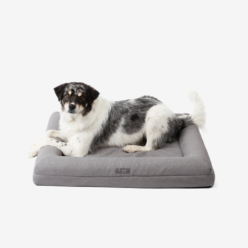 Orthopedic Large Dog Bed product image