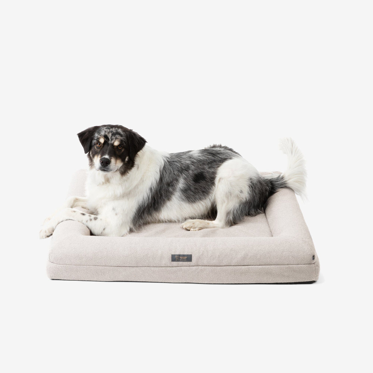 Orthopedic Large Dog Bed - Nandog 2 product image