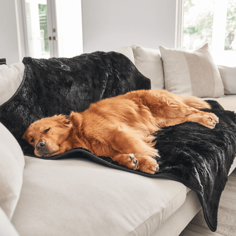 PupProtector™ Summer Short Fur Waterproof Throw Blanket - Midnight Black product image