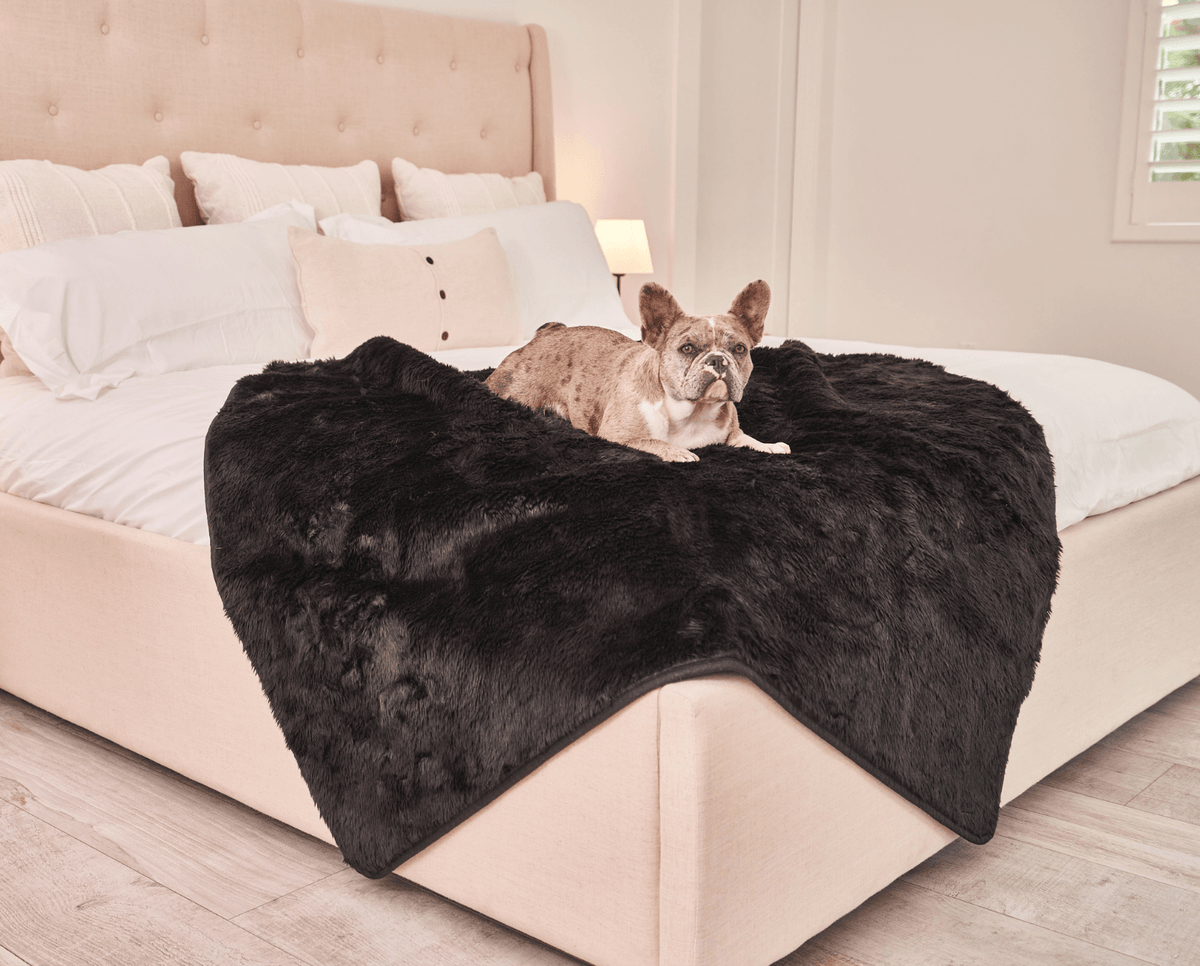 PupProtector™ Summer Short Fur Waterproof Throw Blanket - Midnight Black image 4