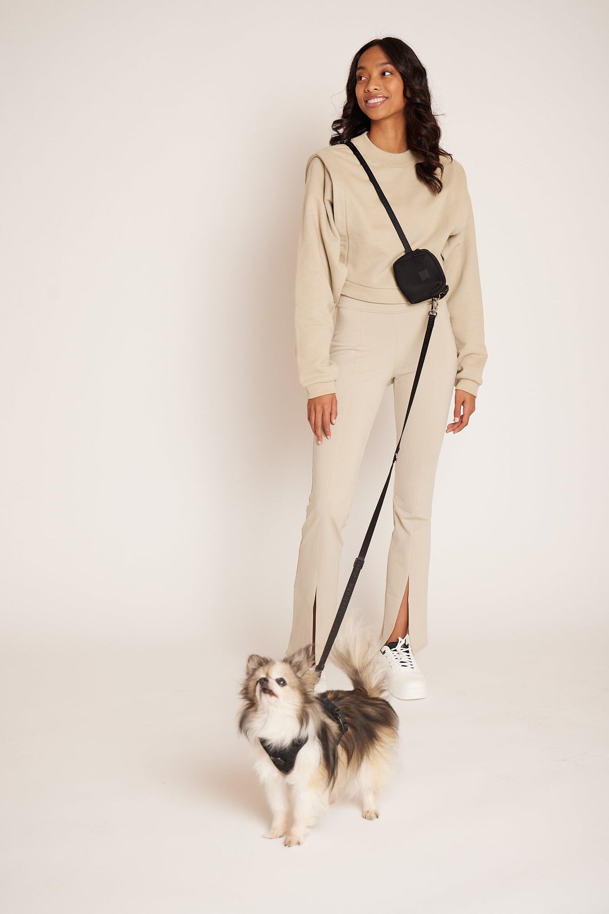 Mini GO! With Ease Hands Free Leash image 4