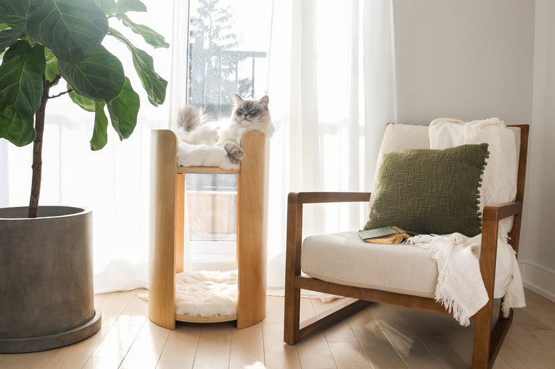 Castillo product image