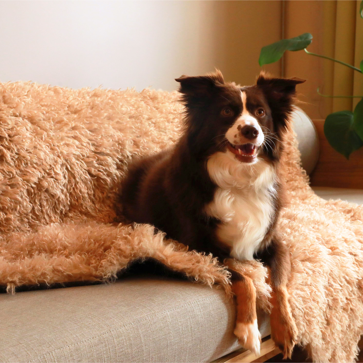 PupProtector™ Luxe Waterproof Faux Fur Blanket - Plush Sheep Tan image 2