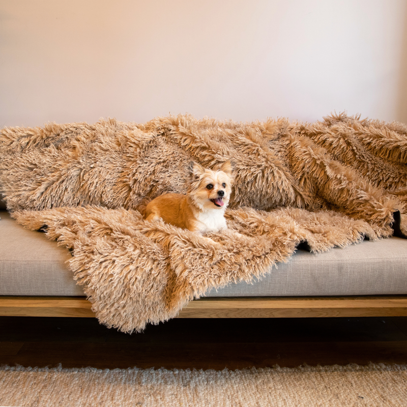 PupProtector™ Luxe Waterproof Faux Fur Blanket - Plush Sheep Tan product image
