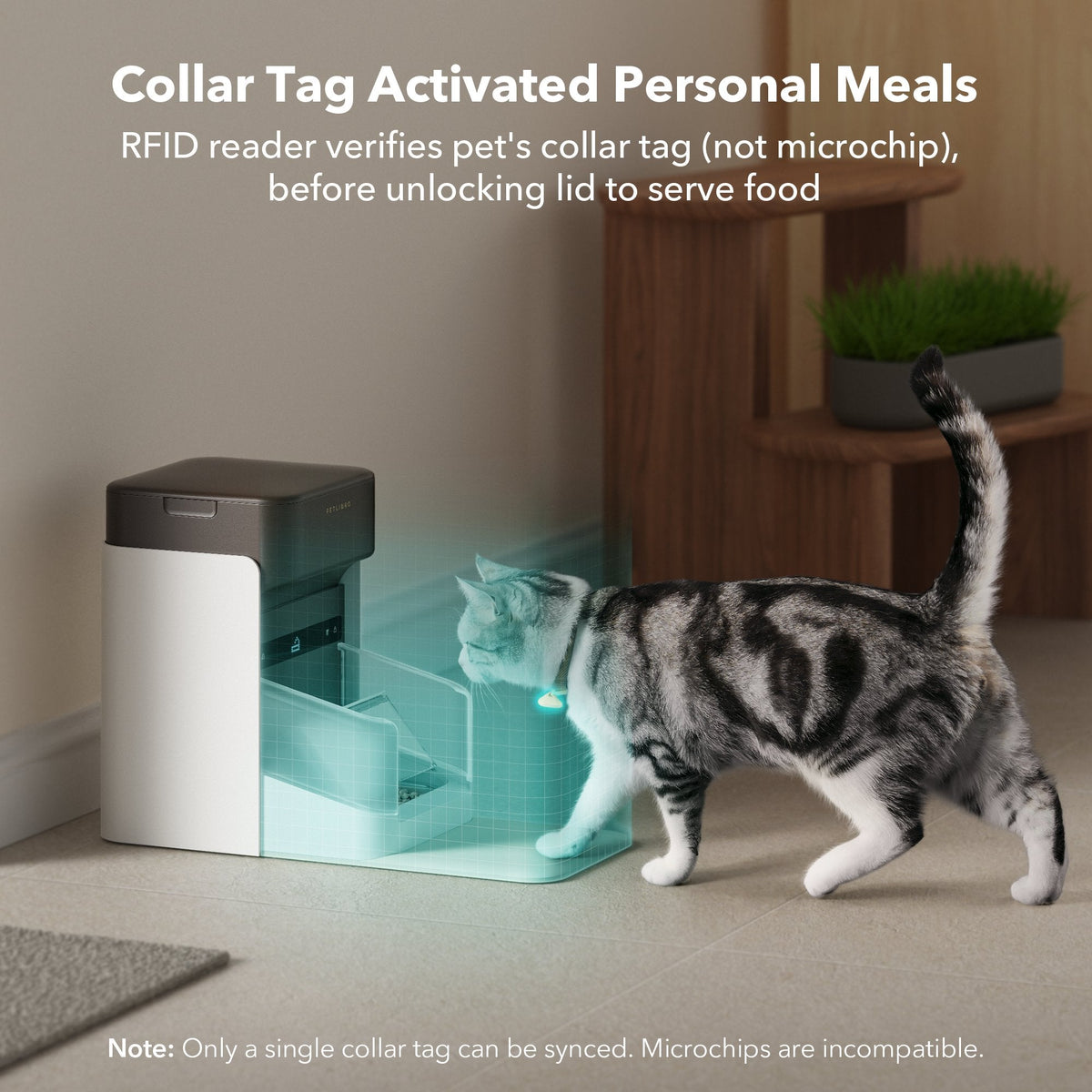 One RFID Smart Feeder for pet image 4