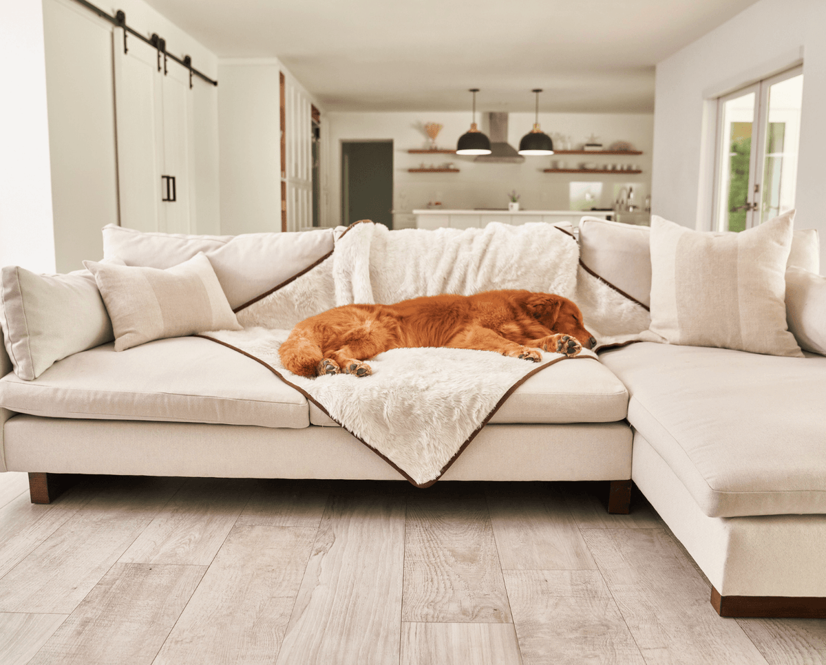 PupProtector™ Summer Short Fur Waterproof Throw Blanket - Polar White image 4