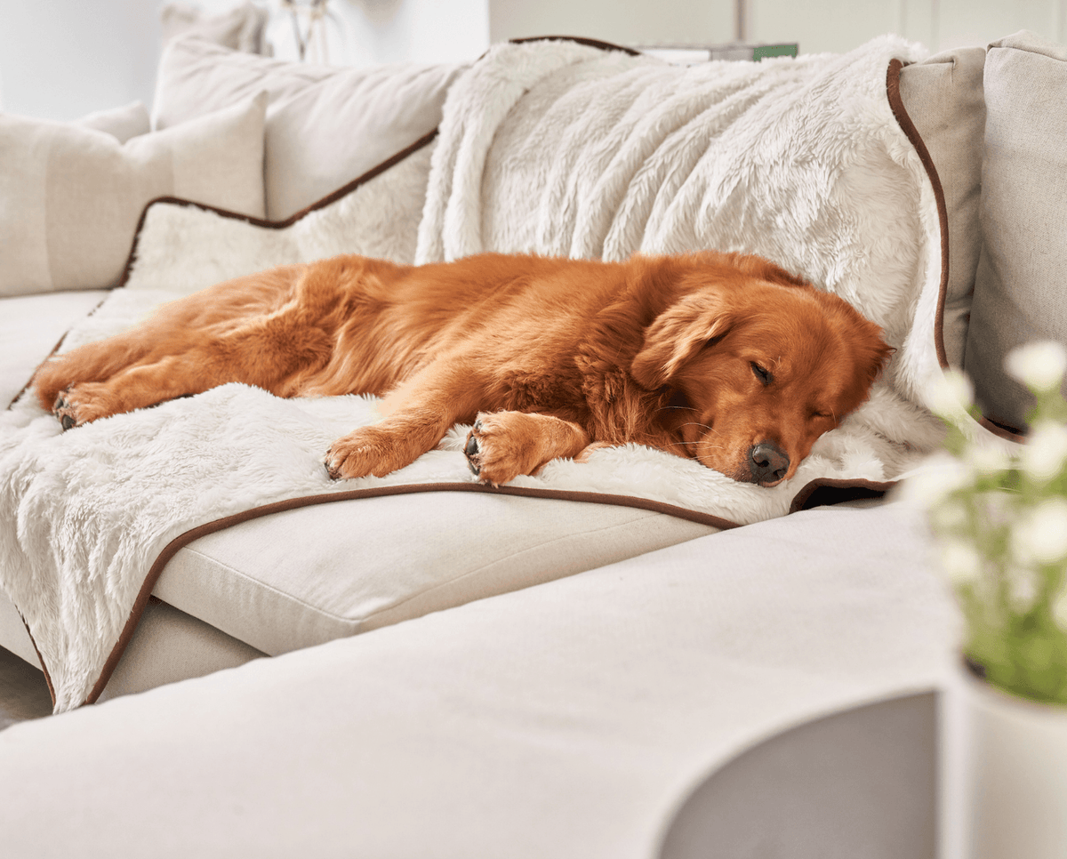 PupProtector™ Summer Short Fur Waterproof Throw Blanket - Polar White product image