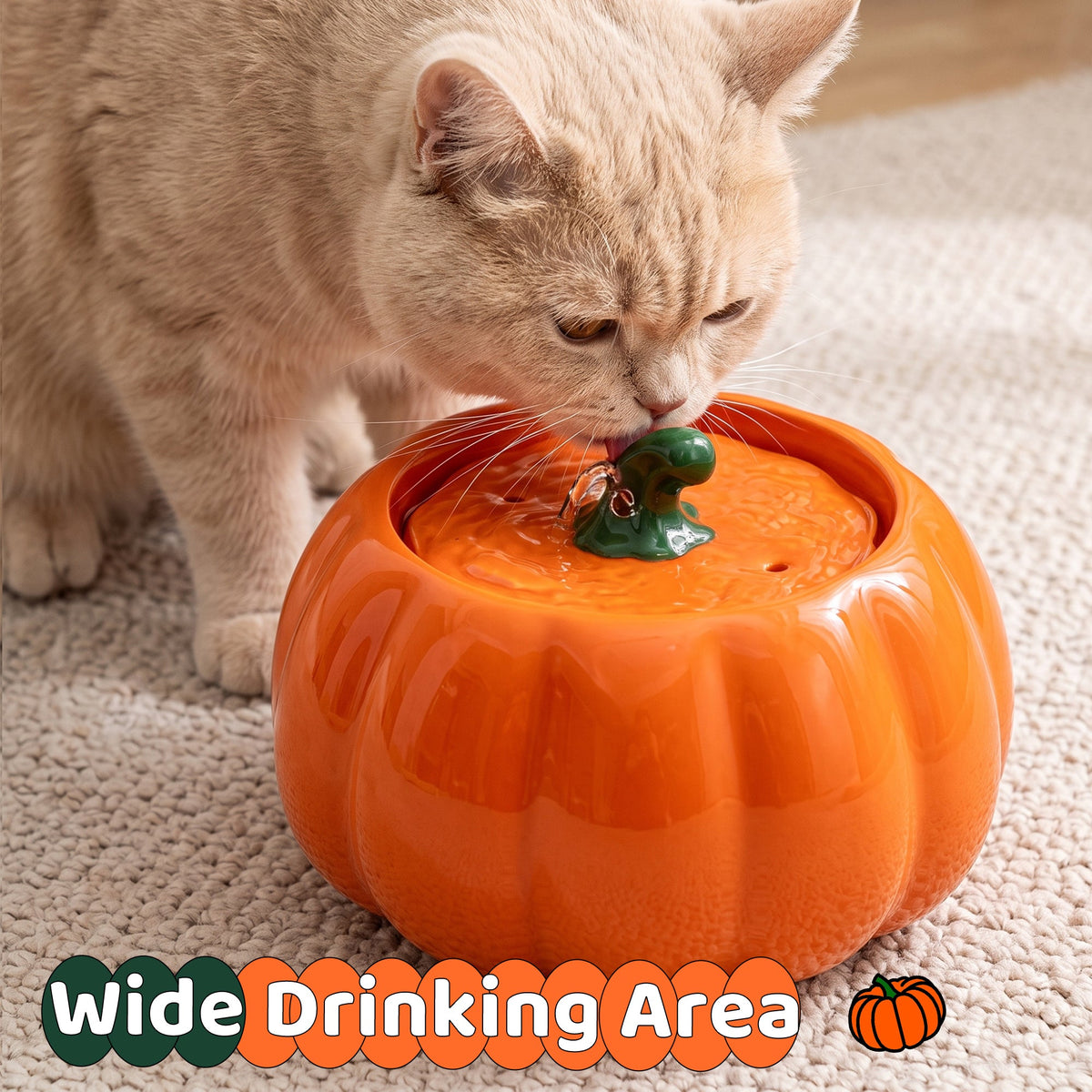 44oz Pumpkin Patch Cat Water Fountain image 4