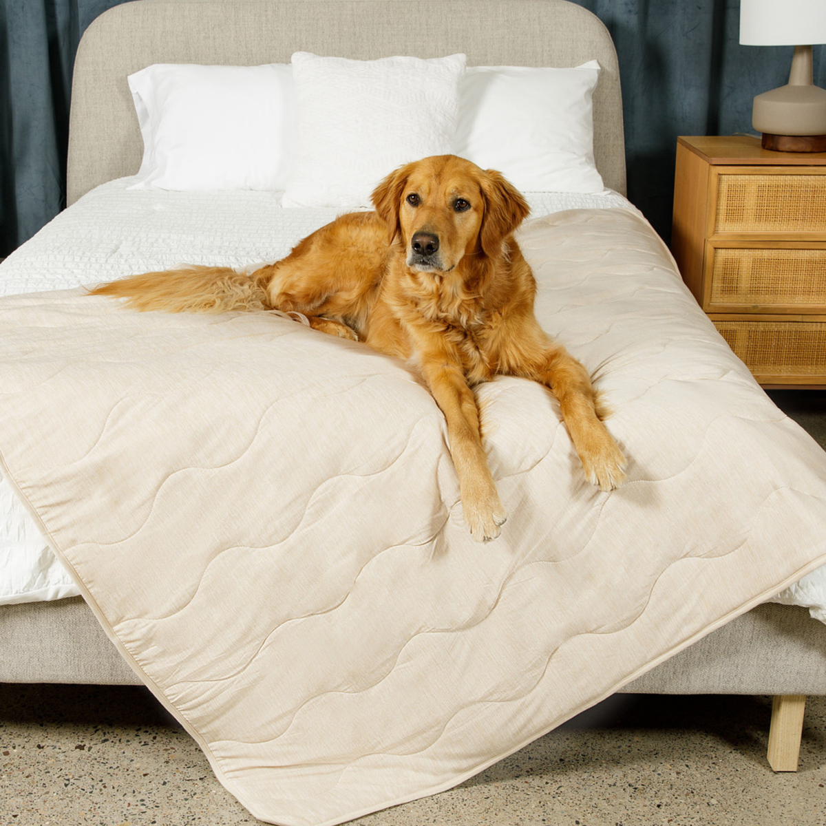 PupChill™ Cooling Waterproof Blanket - Arctic Sand image 5