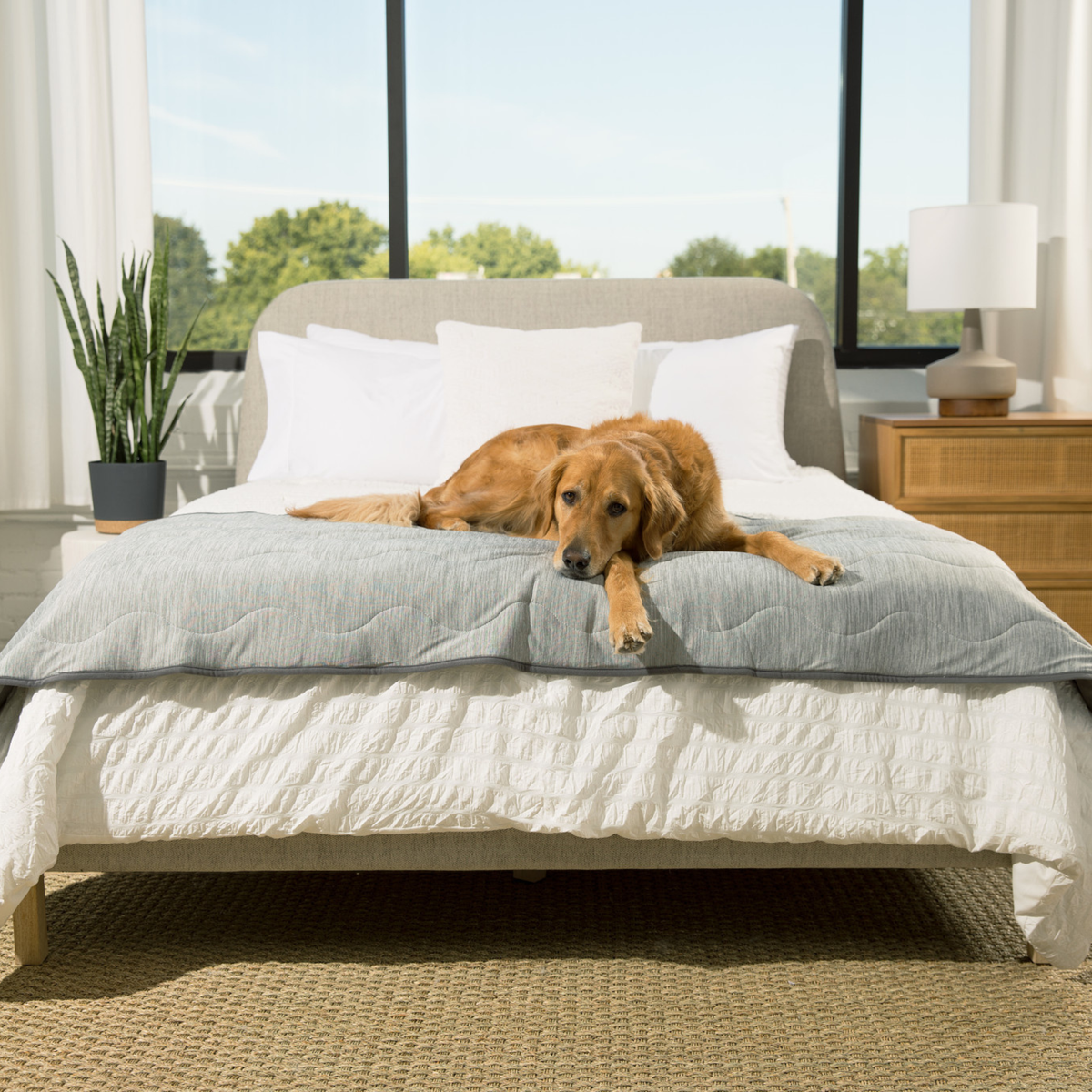 PupChill™ Cooling Waterproof Runner Blanket - Arctic Grey image 5