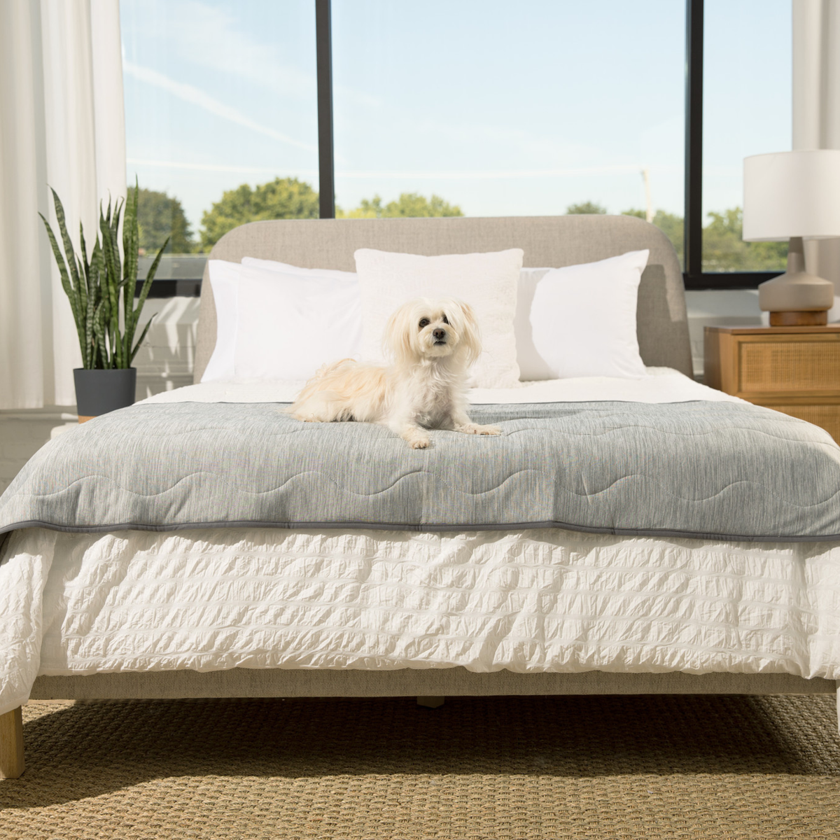 PupChill™ Cooling Waterproof Runner Blanket - Arctic Grey image 4