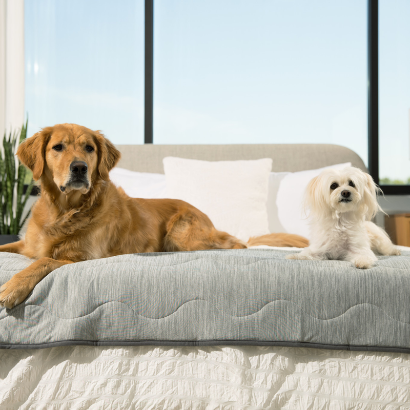 PupChill™ Cooling Waterproof Runner Blanket - Arctic Grey product image