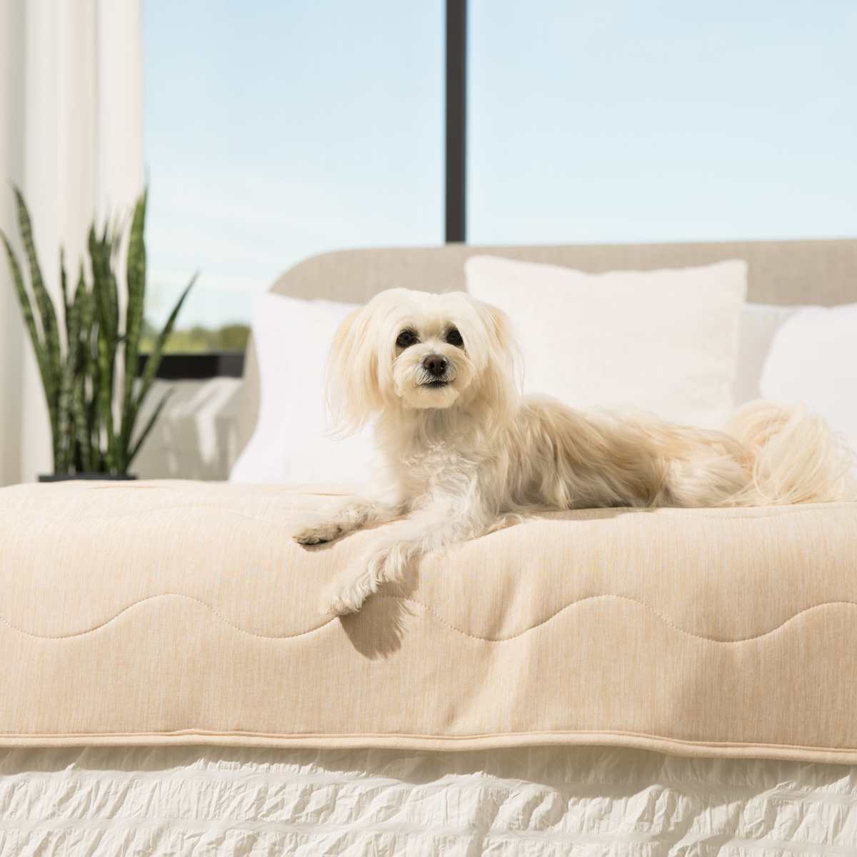 PupChill™ Cooling Waterproof Runner Blanket - Arctic Sand image 4