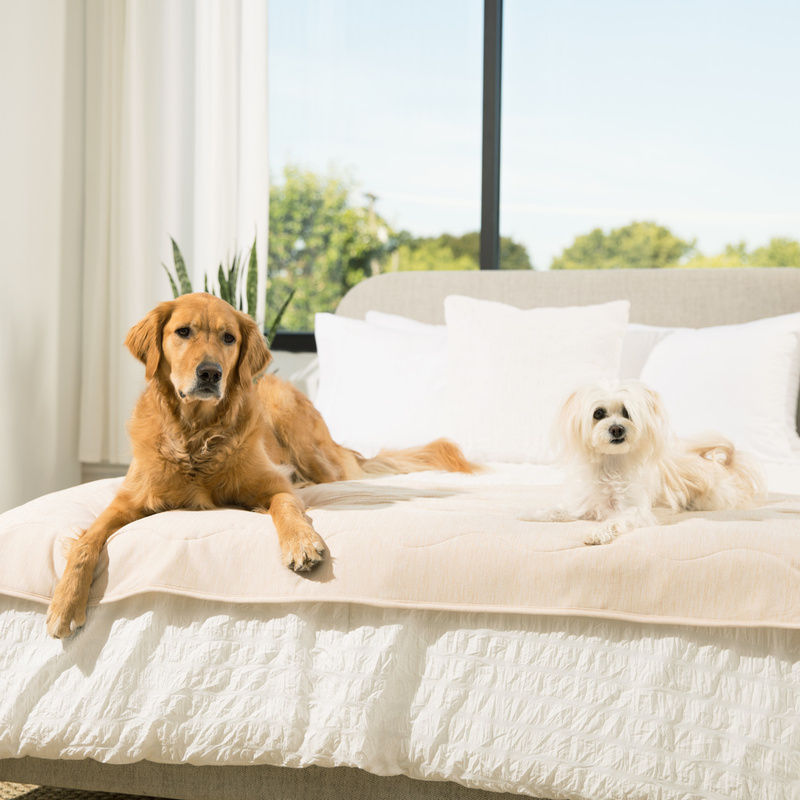 PupChill™ Cooling Waterproof Runner Blanket - Arctic Sand product image