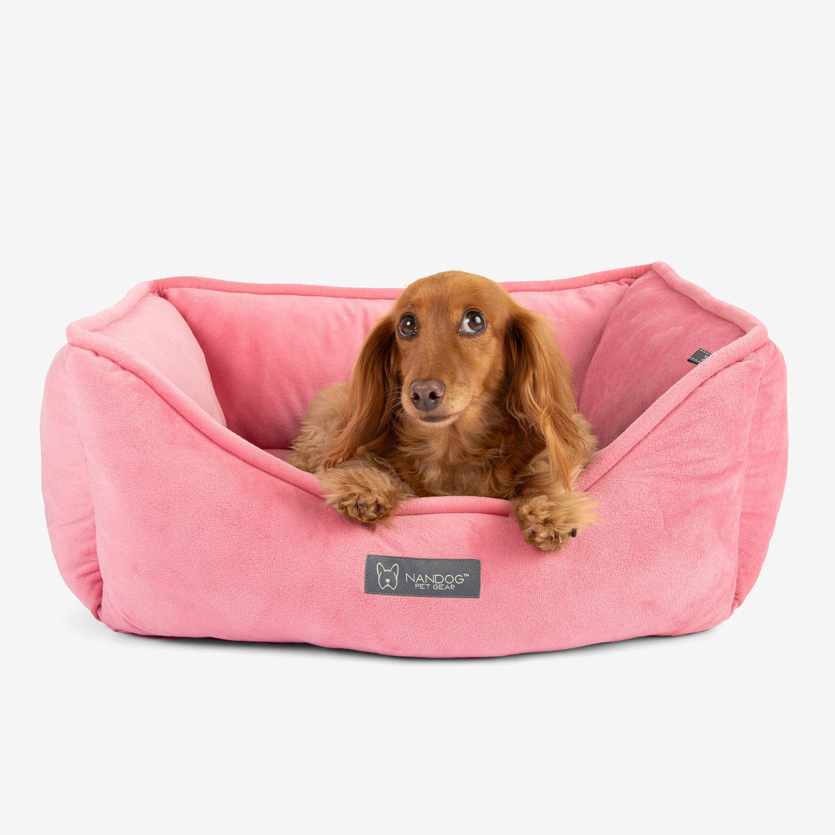 Signature Bed in Electric Pink product image