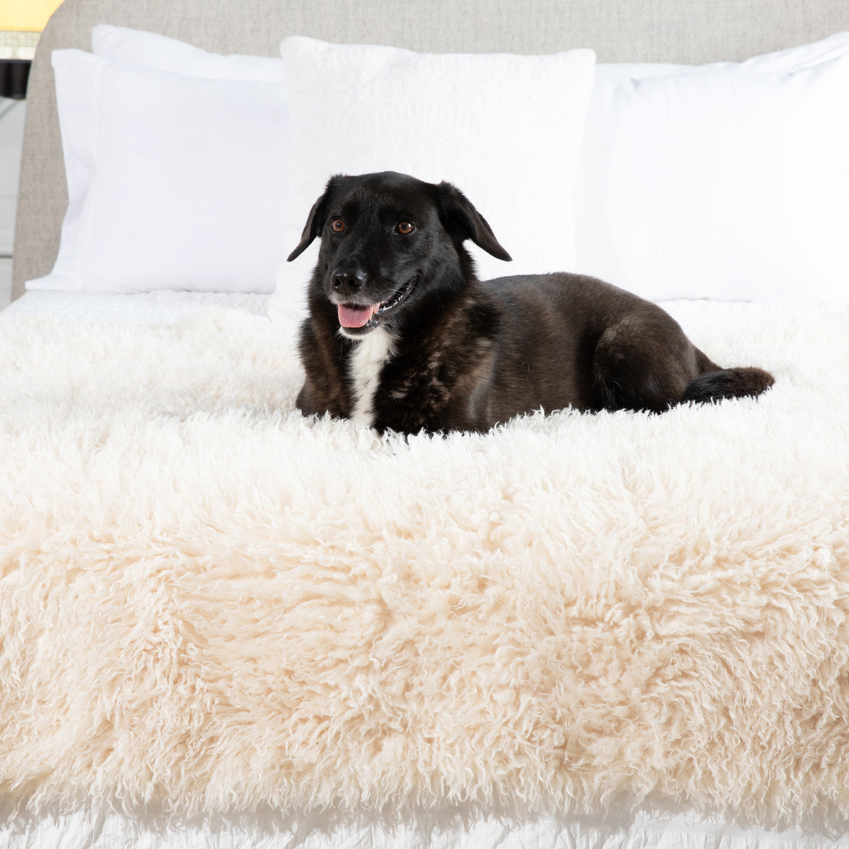 PupProtector™ Luxe Waterproof Faux Fur Blanket - Plush Sheep Ivory image 2