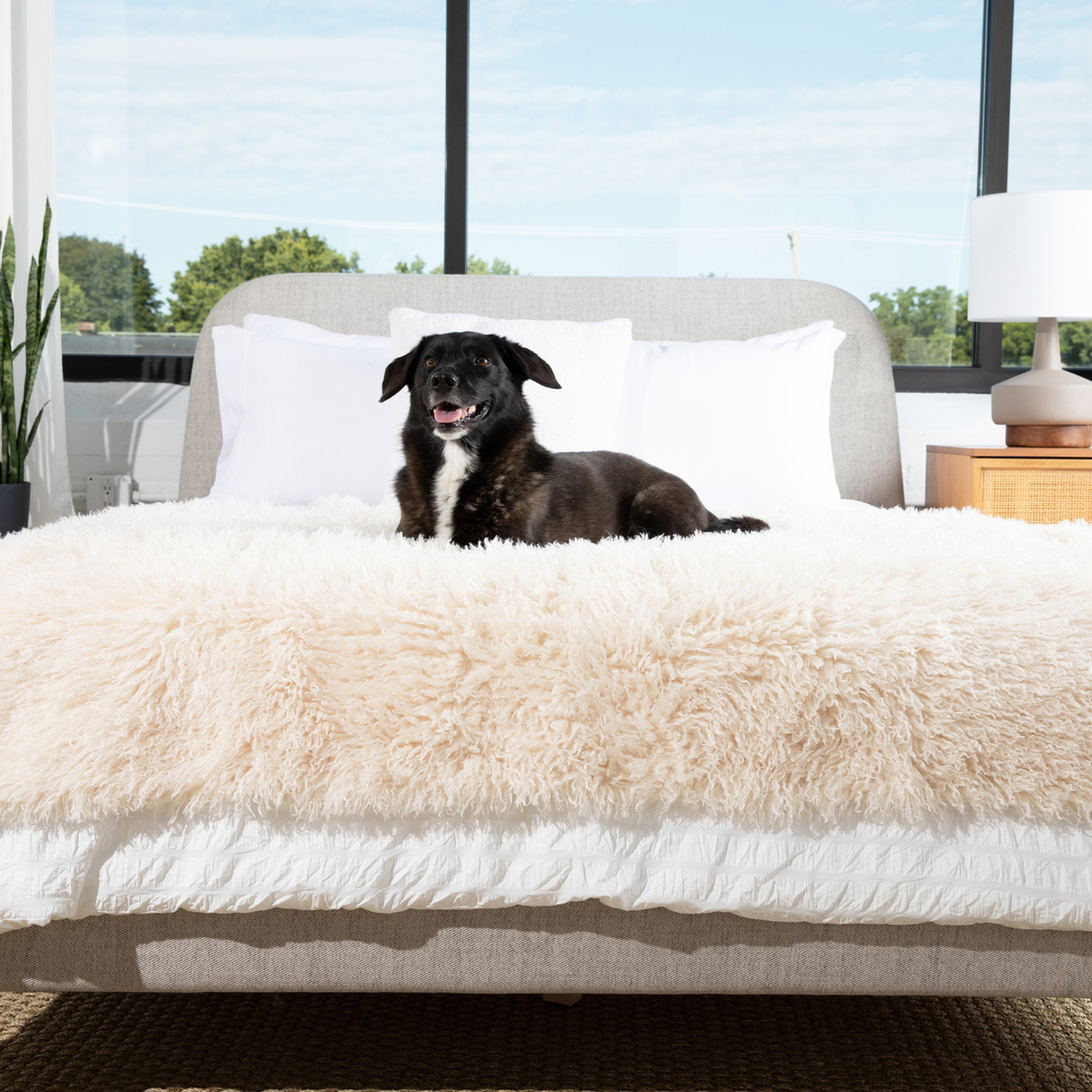 PupProtector™ Luxe Waterproof Faux Fur Blanket - Plush Sheep Ivory image 4
