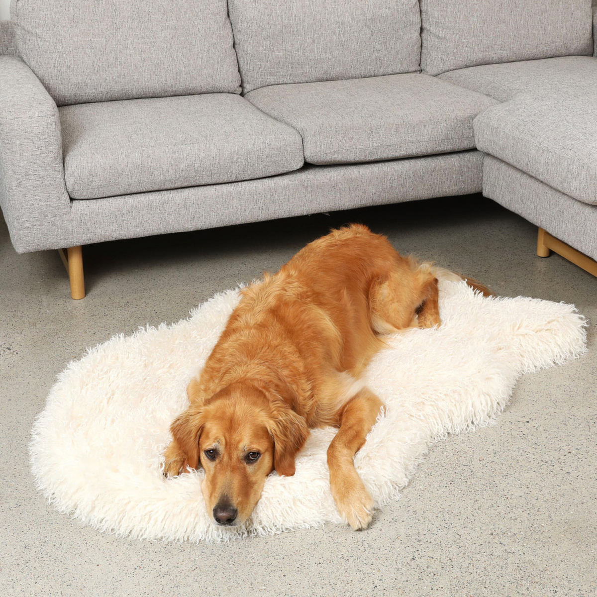 PupRug® Luxe Faux Fur Orthopedic Dog Bed - Plush Sheep Ivory product image
