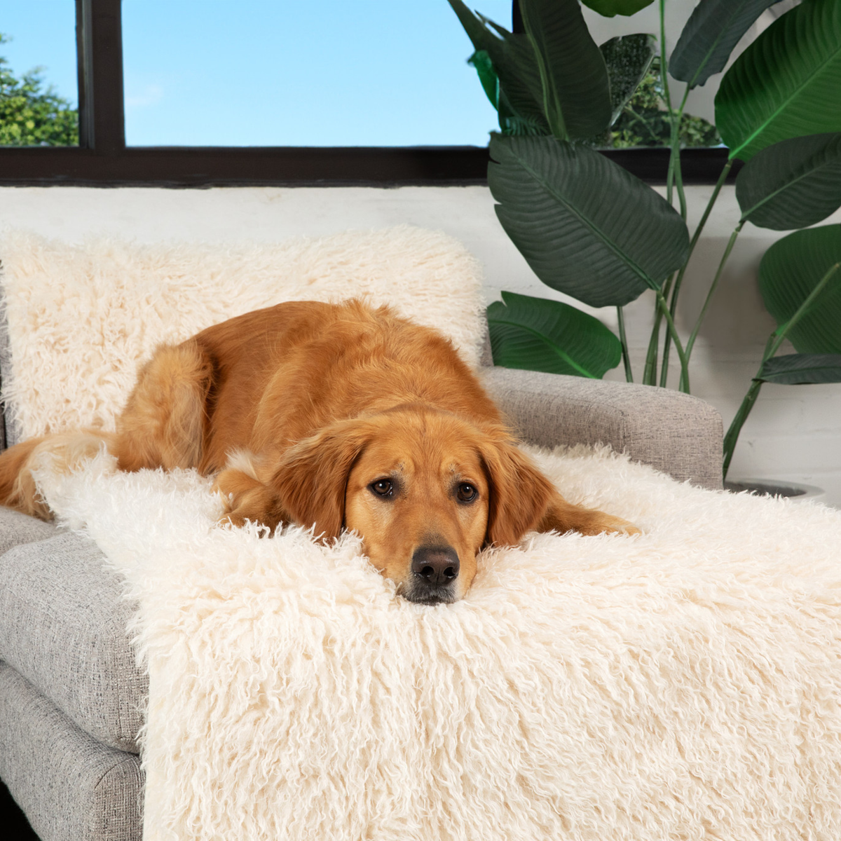 PupProtector™ Luxe Waterproof Bed Runner - Plush Sheep Ivory image 2