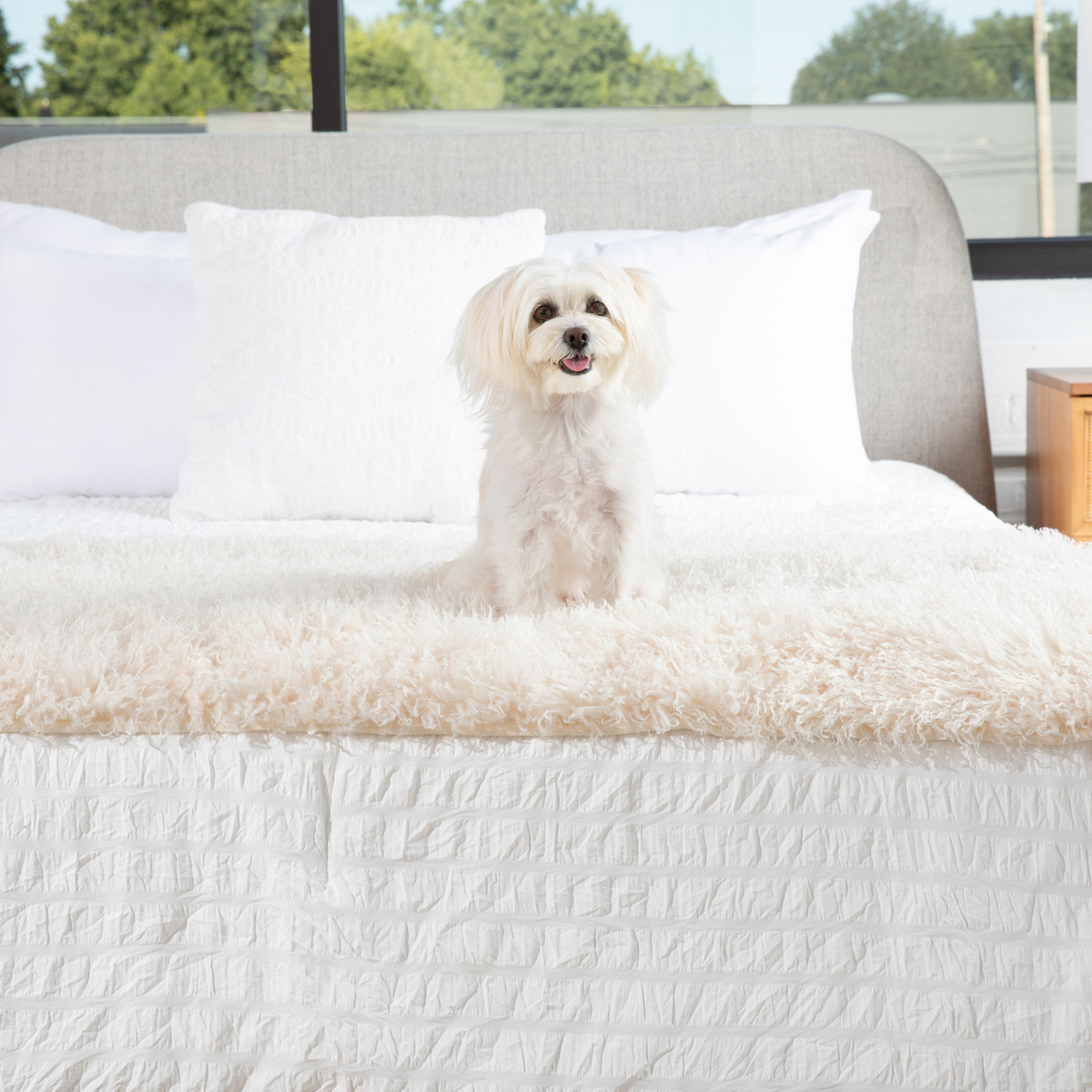 PupProtector™ Luxe Waterproof Bed Runner - Plush Sheep Ivory image 4